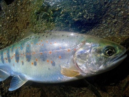 場所替えで何とか
