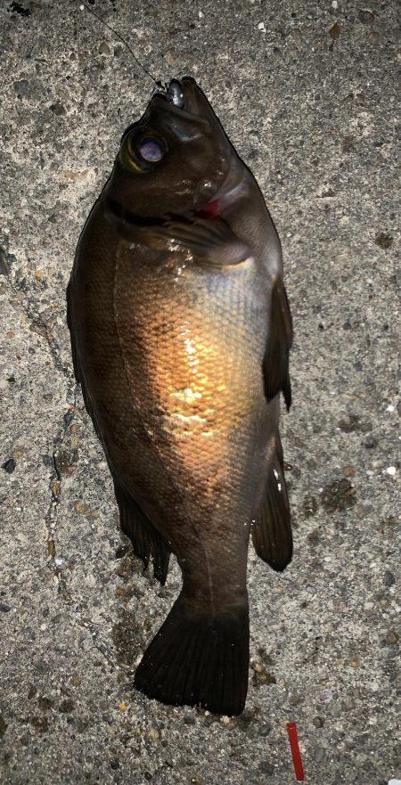 のんびりライトゲーム