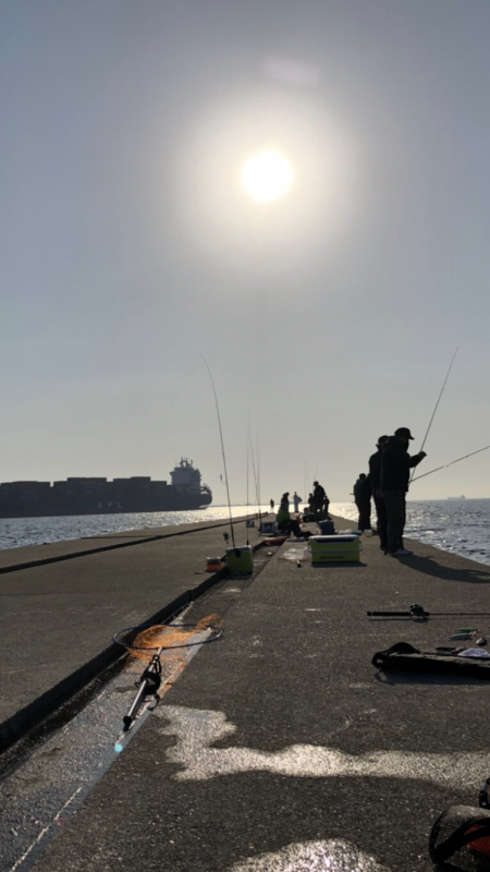 サゴシ時合いあり。