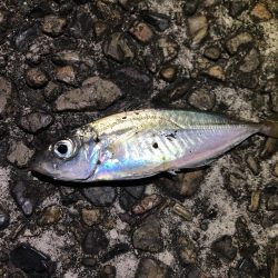 五目ライトゲーム