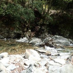 揖保川（引原川支流）