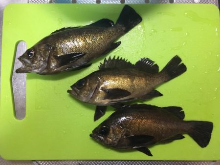 凄いパワーで楽しい♪