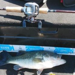 GW明けアシ打ち爆釣