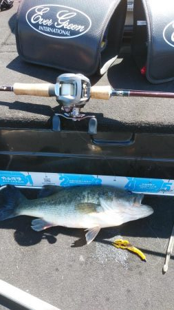 GW明けアシ打ち爆釣