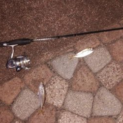 ひさびさの日本海