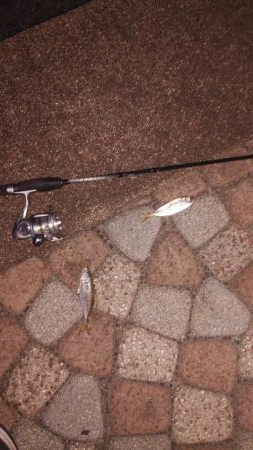 ひさびさの日本海