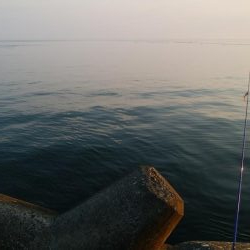 ソゲ1枚のみ・・・