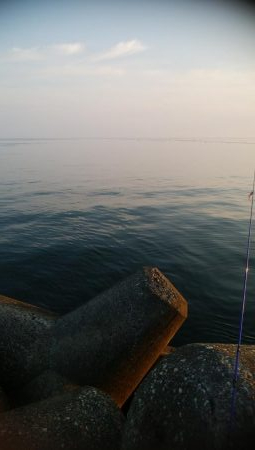 ソゲ1枚のみ・・・