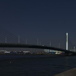 南港カモメ大橋 釣行 （朝マズメ、良型キビレチヌ、ガシラ根魚の釣果）