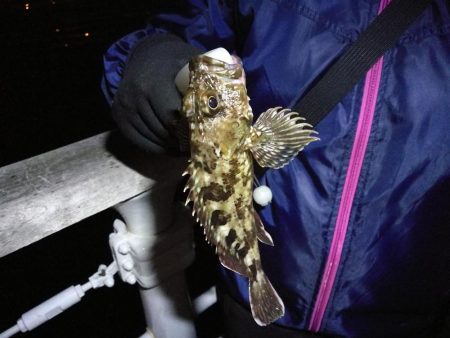 【祝】念願の初キビレ!!