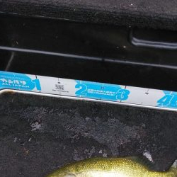 ヒシモパターン