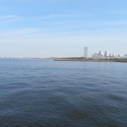 新ロッドでやっと一匹！