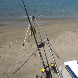 快晴のキス釣り