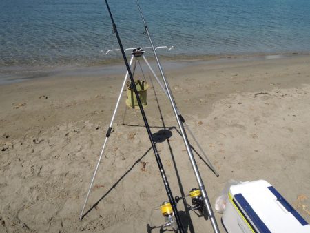 快晴のキス釣り