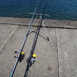 初夏のキス釣り