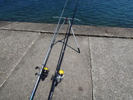 初夏のキス釣り