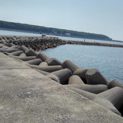 今年のキスはいい感じかも