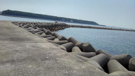 今年のキスはいい感じかも