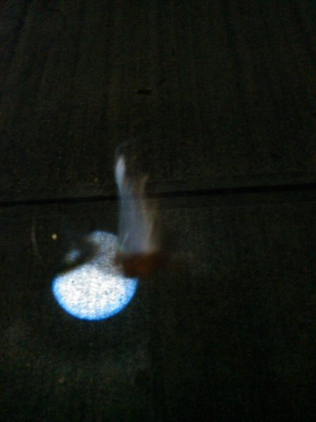 ナイトアジング