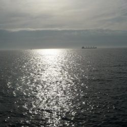 ノマセ撃沈。。