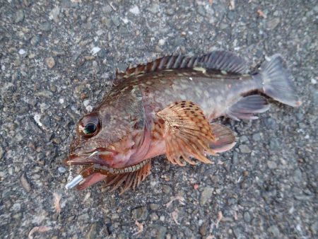 あと1時間あれば・・・