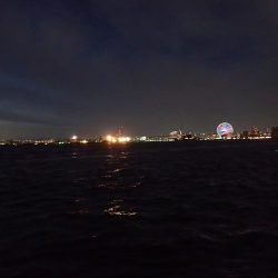 まとまった雨のあとは・・・