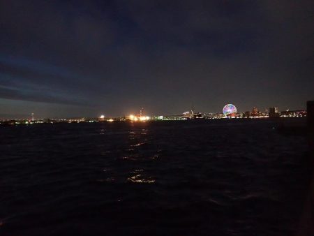 まとまった雨のあとは・・・