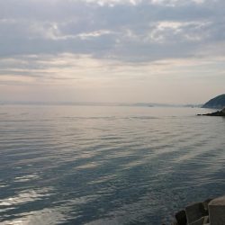 令和、ファースト キス！