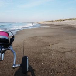 キス釣りスタート