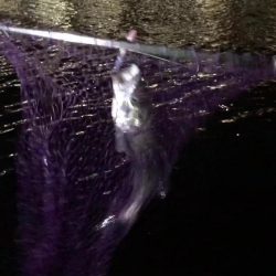 一瞬で始まり、一瞬で終わった