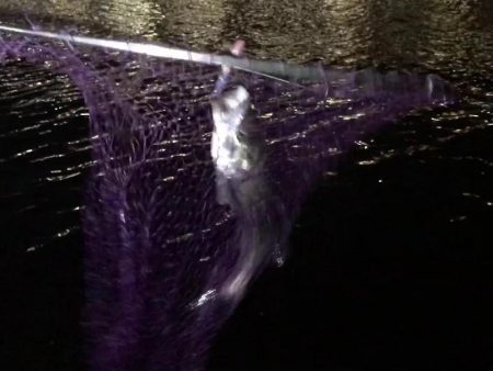 一瞬で始まり、一瞬で終わった