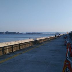 和歌山マリーナシティで投げ釣り