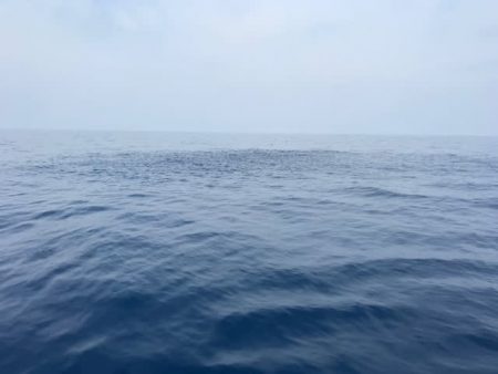 へいみつ丸 釣果