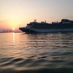 チーバスとシーバス