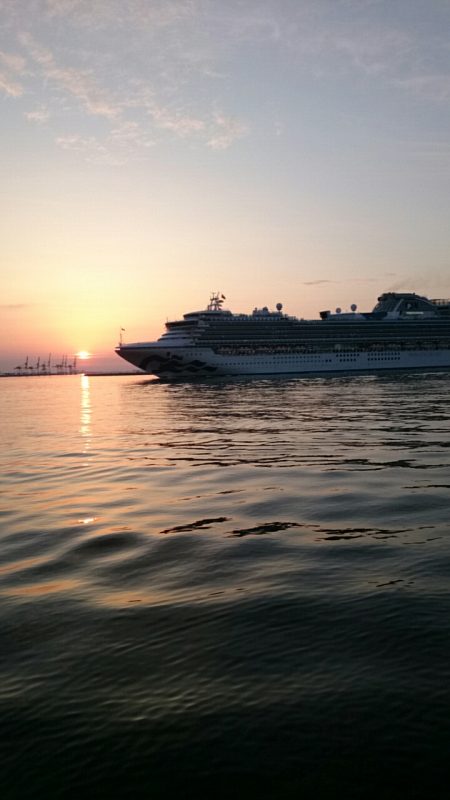 チーバスとシーバス