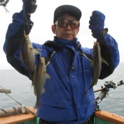 土佐安芸のハマちゃんの釣果