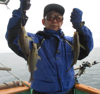 土佐安芸のハマちゃんの釣果