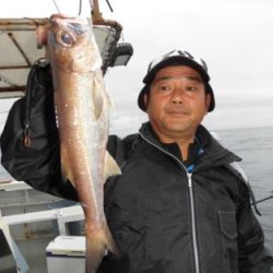 土佐安芸のハマちゃんの釣果