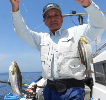 土佐安芸のハマちゃんの釣果