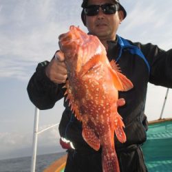 土佐安芸のハマちゃんの釣果