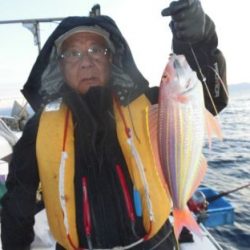 土佐安芸のハマちゃんの釣果