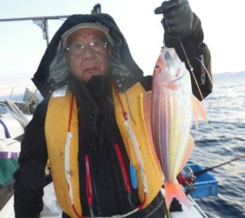 土佐安芸のハマちゃんの釣果