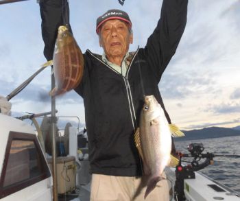 土佐安芸のハマちゃんの釣果