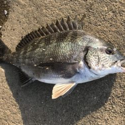 イチノ兄弟、釣果!