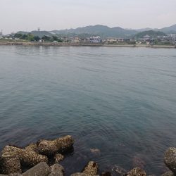 食べ頃アジゲット