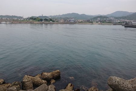 食べ頃アジゲット