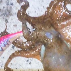 キミはいたんだね