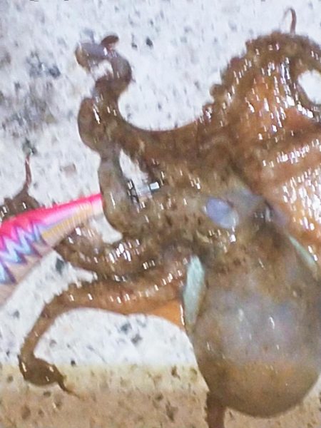 キミはいたんだね