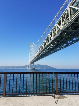 久しぶりのアジュール