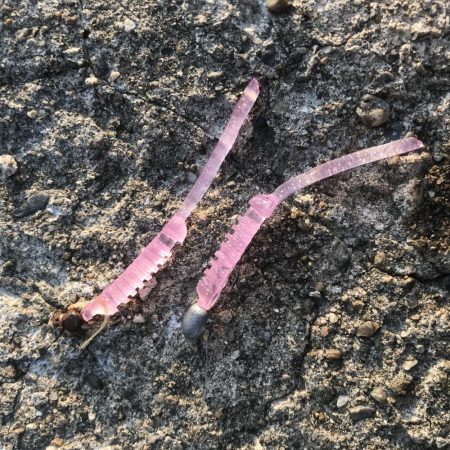 ベタ凪アジング